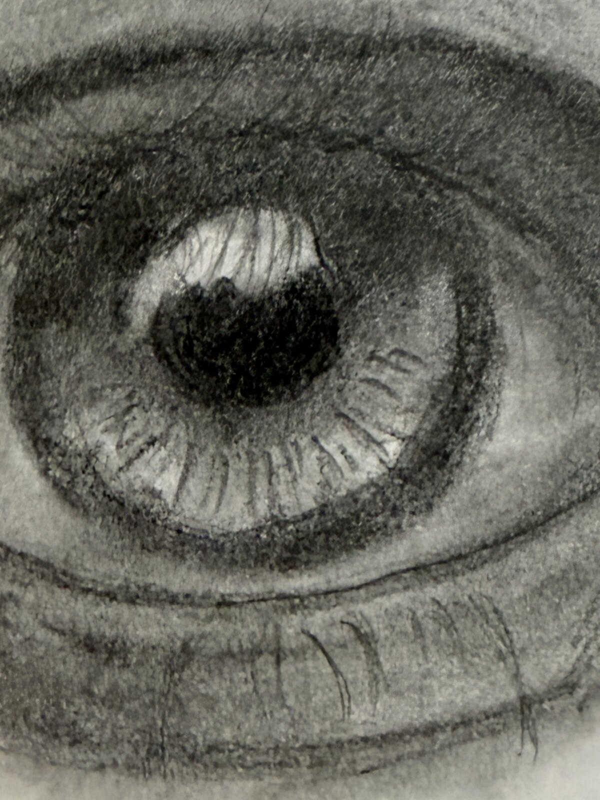 Charcoal study by Rosalyn Dearing of a single eye, with the light caught in the iris